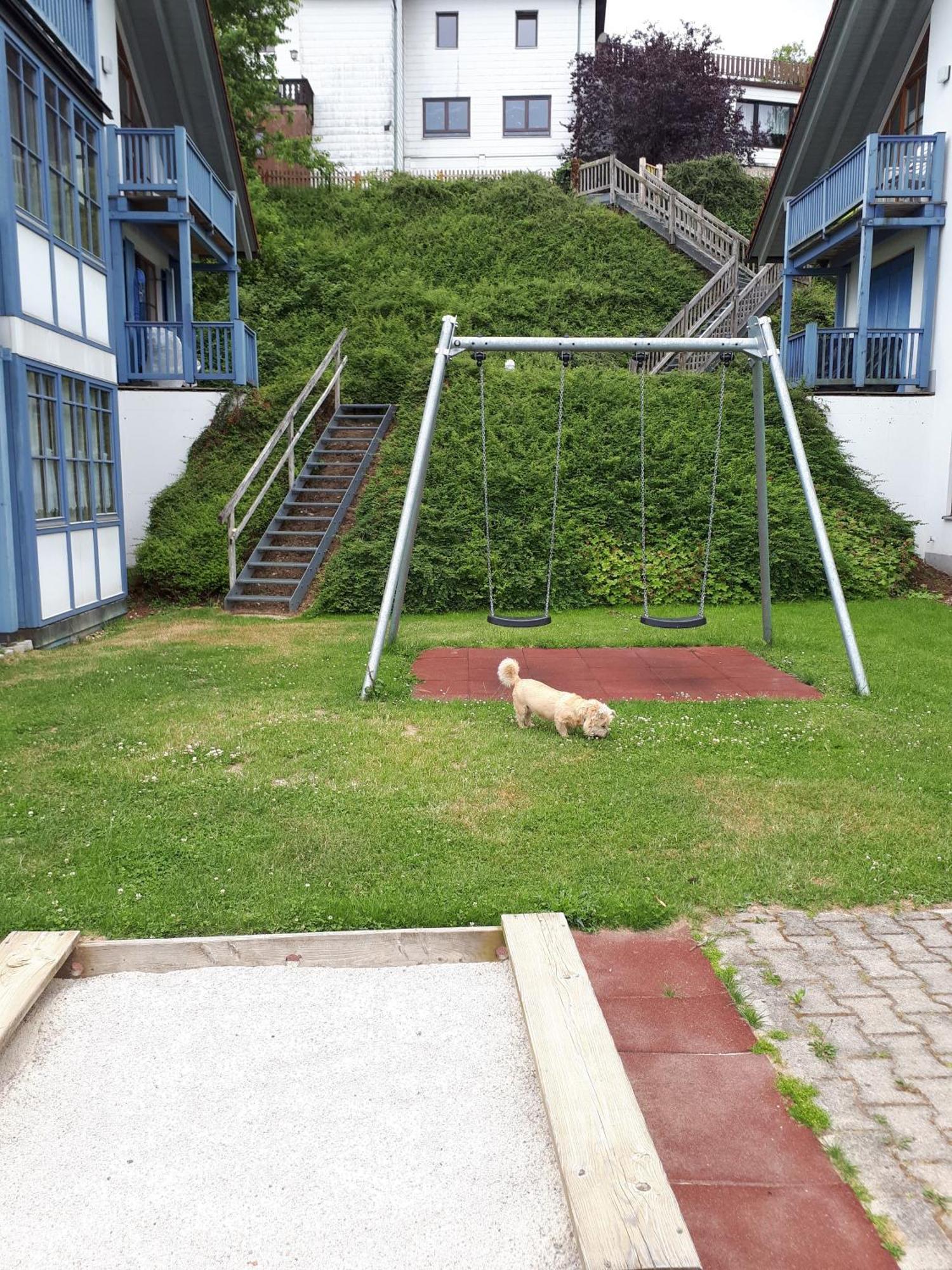 Ferienapartment 38 Sonnenwald Oberlangfurth Exteriér fotografie